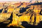 USA-Arizona-Grand Canyon NP Overview with pinnacle and cliffs from North Rim of Point Imperial Art Print